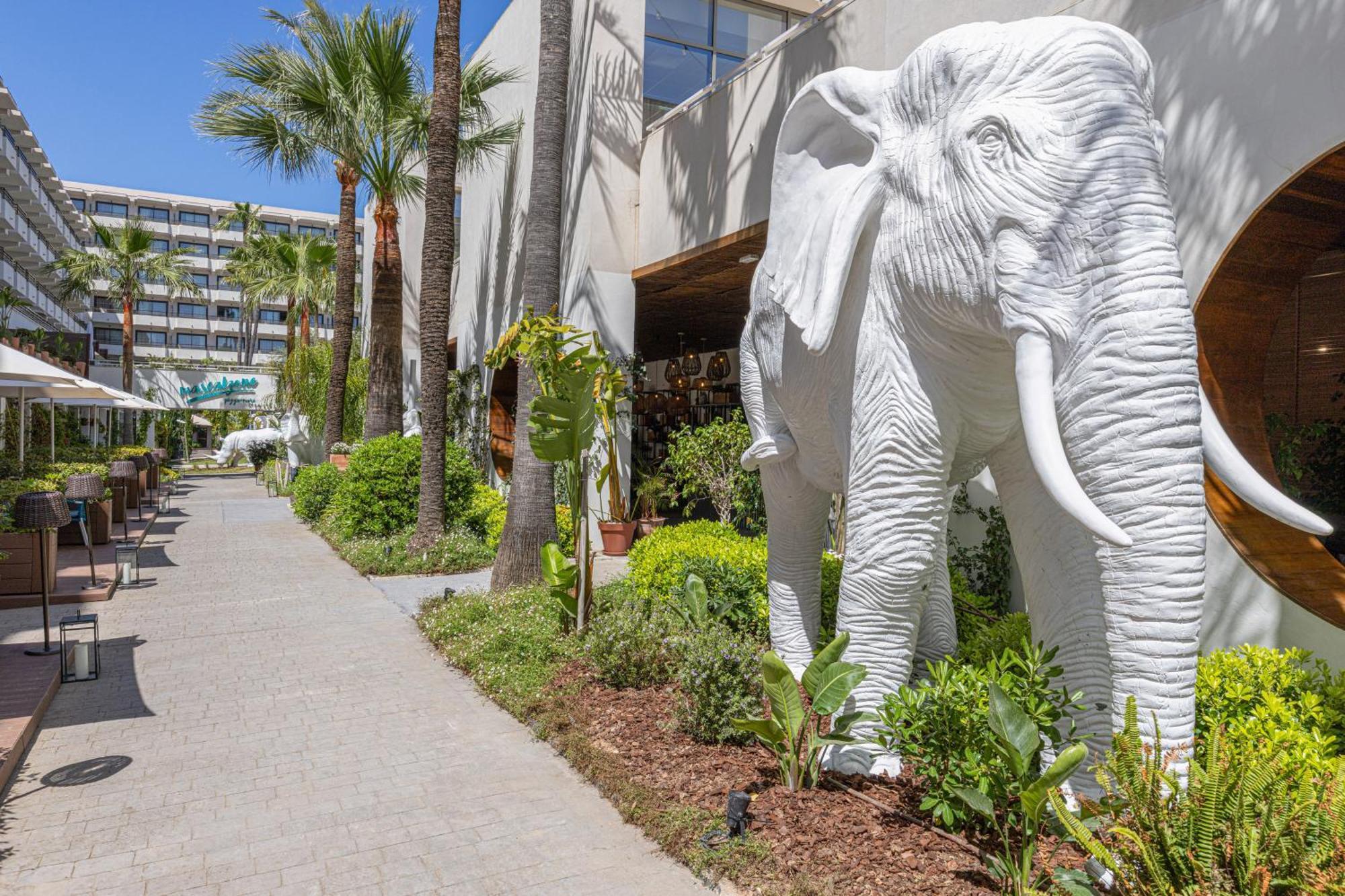 Hotel Innside By Melia Alcudia